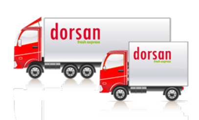 distributie marfuri Dorsan Cluj